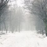 vijelia isi arata coltii in vestul tarii anm a emis cod galben de vant puternic in 2 judete 69595b4848010