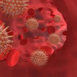 virusul nipah reaprinde alerta sanitara in asia india confirma noi cazuri iar mai multe state introduc controale in aeroporturi 697bd8c25ab82