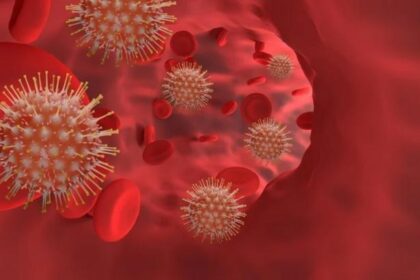 virusul nipah reaprinde alerta sanitara in asia india confirma noi cazuri iar mai multe state introduc controale in aeroporturi 697bd8c25ab82