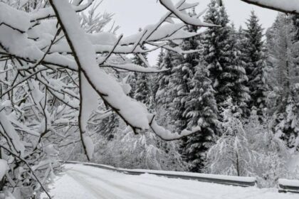 vreme extrema in tara in continuare ninge abundent in mai multe zone ce ne asteapta in orele urmatoare potrivit anm 6958d6e8a1132 1