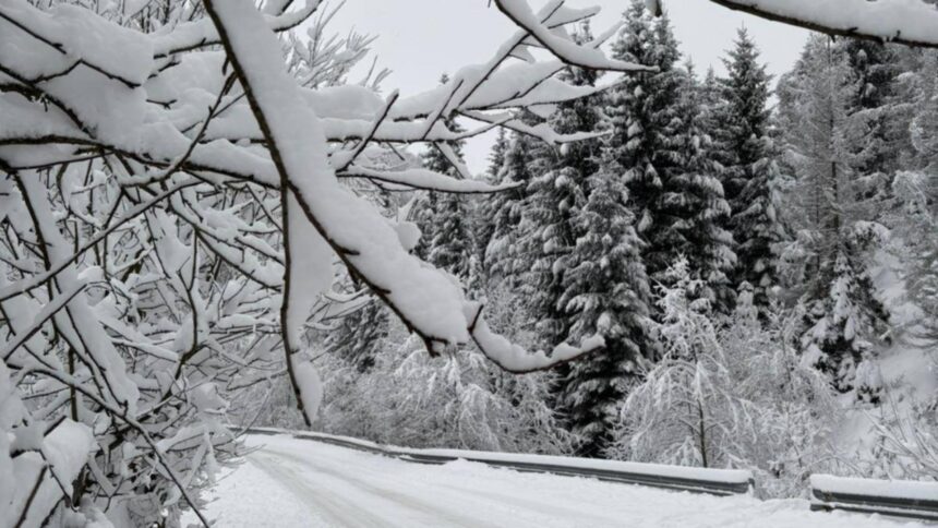 vreme extrema in tara in continuare ninge abundent in mai multe zone ce ne asteapta in orele urmatoare potrivit anm 6958d6e8a1132 1