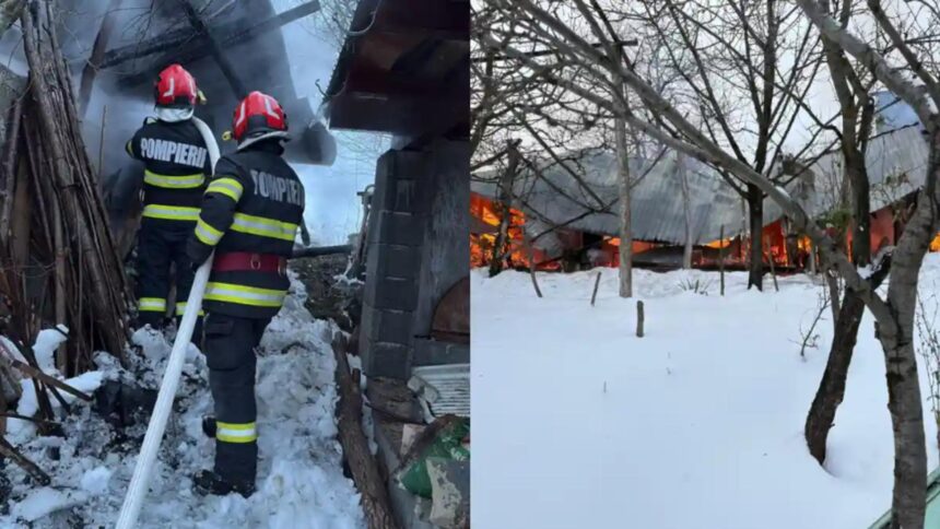 weekend de foc in judetul alba incendiile se tin lant la unitatile de cazare montane 69628306caa3b