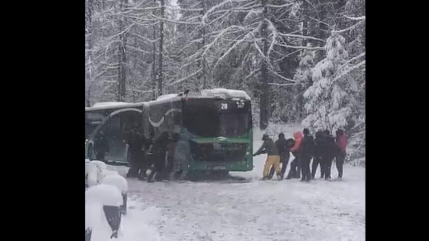 zapada da peste cap traficul la brasov autobuz impotmolit pe drumul spre poiana imagini incredibile cu calatorii care il trag video 69590ba998f81
