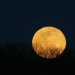 zodiile care isi schimba total destinul dupa luna plina din 3 ianuarie 2026 695b6c9310c44