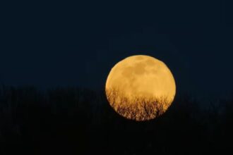 zodiile care isi schimba total destinul dupa luna plina din 3 ianuarie 2026 695b6c9310c44