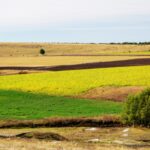 zona din romania unde un hectar de teren a ajuns sa se vanda cu 280 000 de euro cum mai arata piata terenurilor arabile in 2026 6970c35ab4ee6