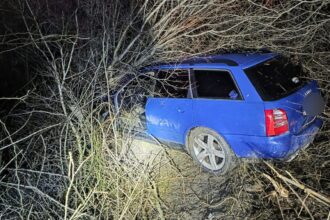 accident noaptea trecuta la carlig pe dn24 un audi a ajuns in boscheti 698ec2245e0bc
