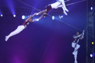 accident teribil la un spectacol de circ in craiova un acrobat s a prabusit in timpul numarului si a fost dus de urgenta la spital 6991c6af1e3c9