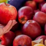 alerta alimentara in europa pesticide cu risc cancerigen descoperite in 85 dintre merele analizate 699c67bbb6c5b