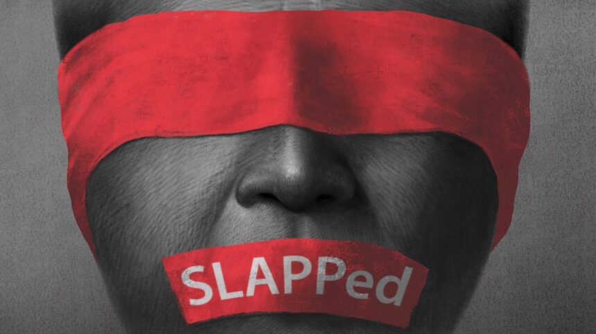 alerta europeana de hartuire in justitie pentru jurnalista brindusa armanca si presshub 699d5c6e05fb4