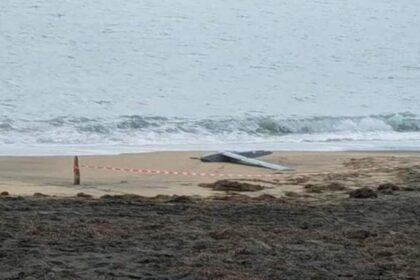 alerta la marea neagra posibil fragment de drona descoperit pe plaja din mamaia 69948482a6220 1