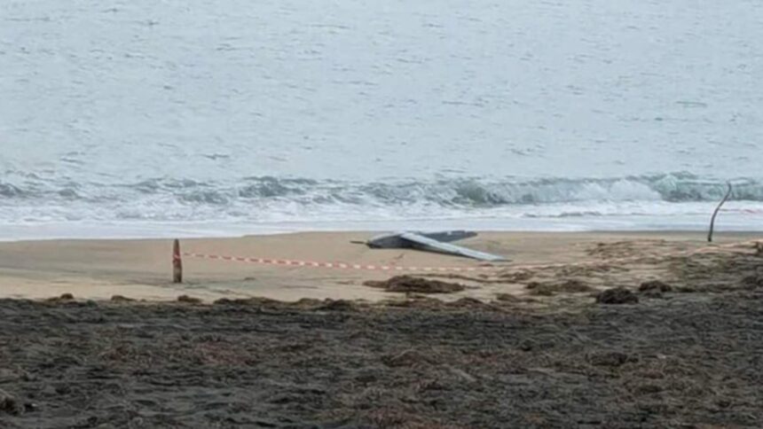 alerta la marea neagra posibil fragment de drona descoperit pe plaja din mamaia 69948482a6220 1