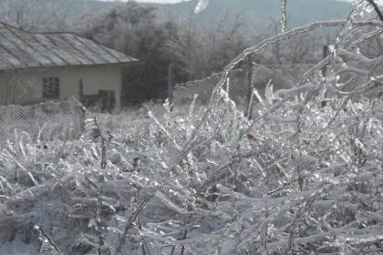 alerte de ger intensificari ale vantului si ninsori viscolite in mai multe regiuni pana marti 3 februarie 697f1b8bacc77
