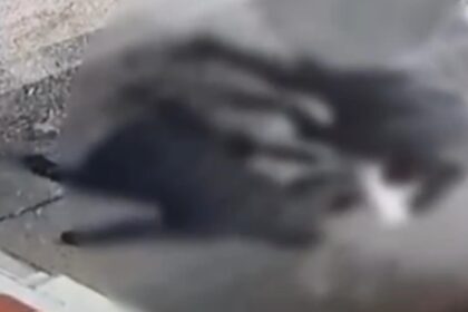 barbat batut de doi indivizi la iesirea din spitalul obregia agresorii care au folosit si un cutit retinuti 6985f28dae006