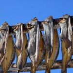 batog de sturion devine al 16 lea produs romanesc recunoscut si inregistrat la nivel european 6995ca60dc6c7