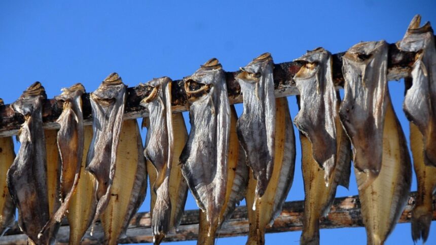 batog de sturion devine al 16 lea produs romanesc recunoscut si inregistrat la nivel european 6995ca60dc6c7