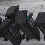 batran amendat dupa ce a legat un caine cu sarma si l a abandonat langa tomberoane 69a0548c060e9