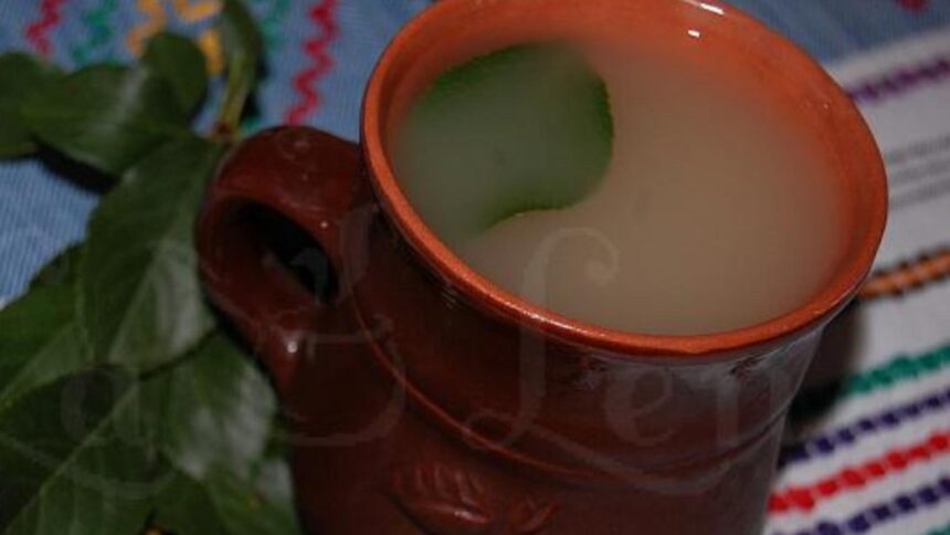 bautura care alunga raceala si trateaza stomacul se poate prepara acasa dar o poti cumpara ieftin iar beneficiile sale sunt imense 69982133d9bec