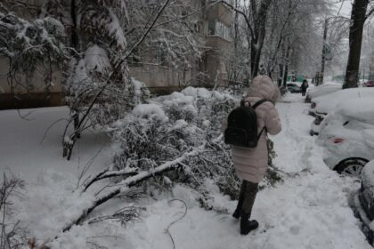 bilantul mai pentru cele doua zile de urgie a zapezii stalpi rupti copaci prabusiti sute de autovehicule avariate 6996c3f9ec3e8