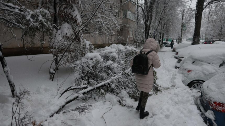 bilantul mai pentru cele doua zile de urgie a zapezii stalpi rupti copaci prabusiti sute de autovehicule avariate 6996c3f9ec3e8