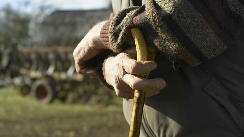 boom demografic pe hartie strazi si case pustii pe teren misterul comunelor iesene de frontiera care sfideaza toate statisticile 69801451885e5