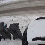 caz revoltator intr un sat din iasi caine legat cu sarma si abandonat politia a identificat autorul 69a04117f096b