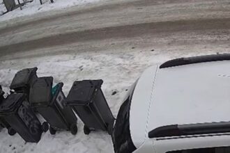 caz revoltator intr un sat din iasi caine legat cu sarma si abandonat politia a identificat autorul 69a04117f096b