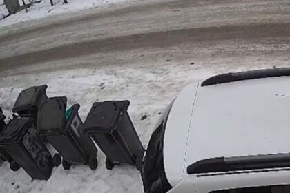 caz revoltator intr un sat din iasi caine legat cu sarma si abandonat politia a identificat autorul 69a04117f096b