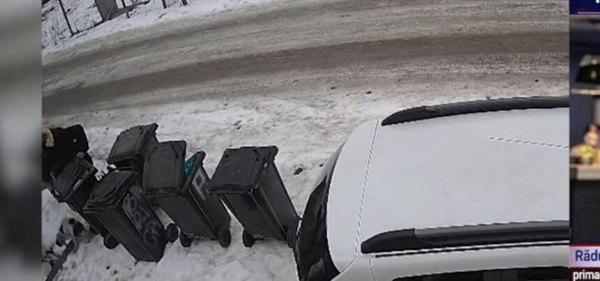 caz revoltator intr un sat din iasi caine legat cu sarma si abandonat politia a identificat autorul 69a04117f096b