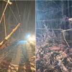 circulatia a 22 de trenuri a fost suspendata din cauza ninsorii si a viscolului mai multi copaci au cazut pe calea ferata 69957a769abb8