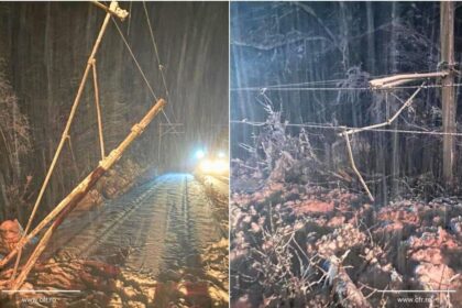 circulatia a 22 de trenuri a fost suspendata din cauza ninsorii si a viscolului mai multi copaci au cazut pe calea ferata 69957a769abb8