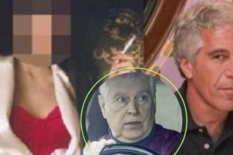 conexiunea romaneasca din scandalul epstein o tanara fotomodel ar fi fost dusa la o cina privata la palatul buckingham pentru printul andrew 698893832152a