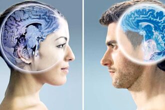 creierul uman incepe sa se dezvolte diferit la fete si la baieti inca inainte de nastere au constatat oamenii de stiinta 6988780d7bb09