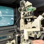 cum a contribuit acordarea tarzie a voucherelor fiv la scaderea natalitatii in romania opinia unuia din cei mai cunoscuti ginecologi din moldova 698fd48f83557