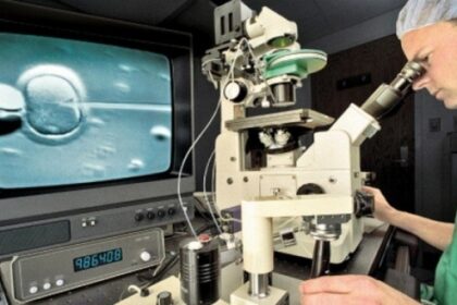 cum a contribuit acordarea tarzie a voucherelor fiv la scaderea natalitatii in romania opinia unuia din cei mai cunoscuti ginecologi din moldova 698fd48f83557