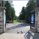 cum a incercat un roman sa vaneze averea boierilor badarau cu un testament apostilat la new york zeci de hectare vizate in zona copou din iasi 699cebecc71cf