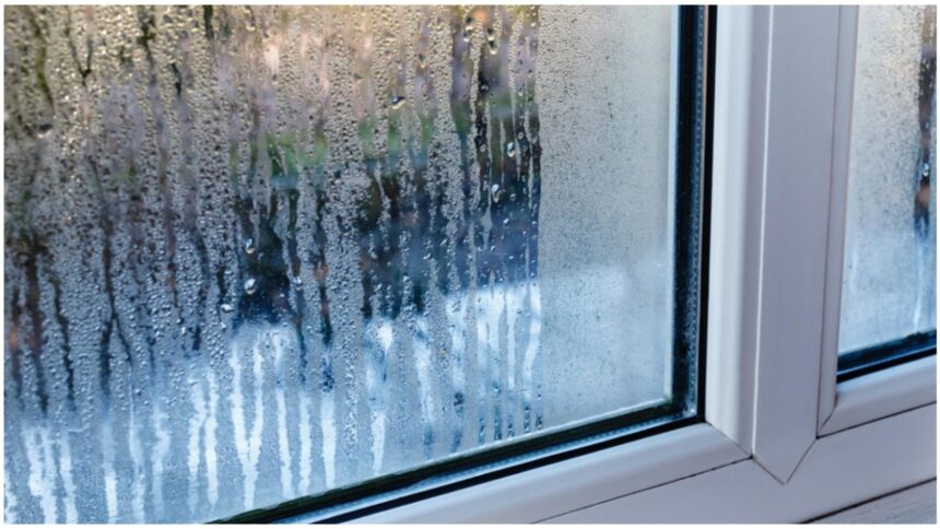 cum scapi de mirosul de umezeala din casa trucurile simple si eficiente pentru sanatatea ta si a familiei tale 69850834deeaf