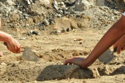 descoperirea arheologica veche de 50 de milioane de ani facuta de un copil 69a17a24edd09