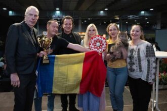 din strada pe podiumul europei duracell o pisica salvata din iasi a devenit campioana europeana la graz 69a01b7b7508e