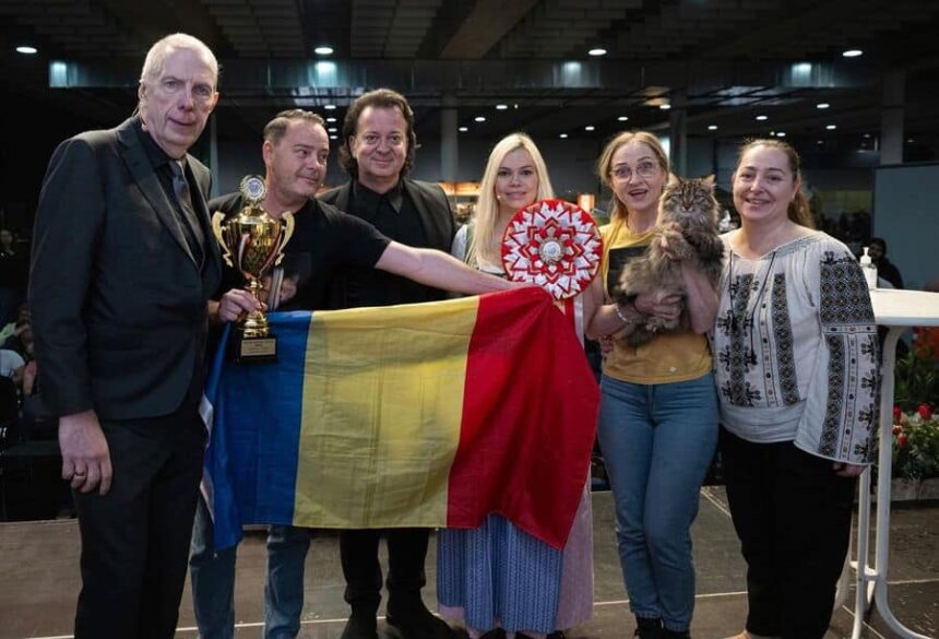 din strada pe podiumul europei duracell o pisica salvata din iasi a devenit campioana europeana la graz 69a01b7b7508e