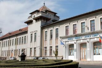 dispar specializarile invatator educatoare si educator puericultor ce noi optiuni noi au elevii de la liceele pedagogice 69893954b8349 1