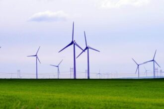 distrugeri in parcuri eoliene din mai multe judete pagubele depasesc 3 000 000 de euro doi barbati au fost arestati 698f45643b65f