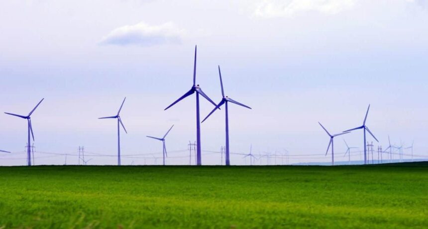 distrugeri in parcuri eoliene din mai multe judete pagubele depasesc 3 000 000 de euro doi barbati au fost arestati 698f45643b65f