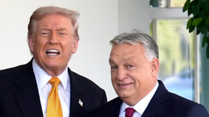 donald trump il sustine pe viktor orban inaintea alegerilor decisive din ungaria este o onoare un luptator si un invingator 6985c9d0c416a
