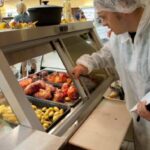 dsvsa a verificat aproape tot ce misca in judet in 2025 mii de controale sute de amenzi si nereguli peste nereguli 6989395fc3dc6