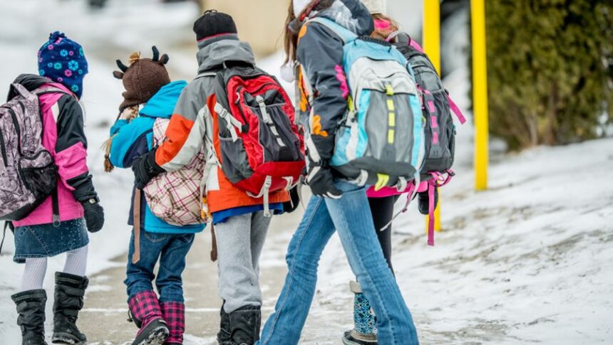 elevii vor avea o saptamana de vacanta in intervalul 9 februarie 1 martie perioada exacta decisa de fiecare inspectorat 698596dc181c2