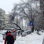 fata de 16 ani electrocutata pe trotuar in bucuresti dupa ce un copac a cazut peste cabluri a fost gasita inconstienta 699649da8af9b