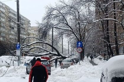 fata de 16 ani electrocutata pe trotuar in bucuresti dupa ce un copac a cazut peste cabluri a fost gasita inconstienta 699649da8af9b