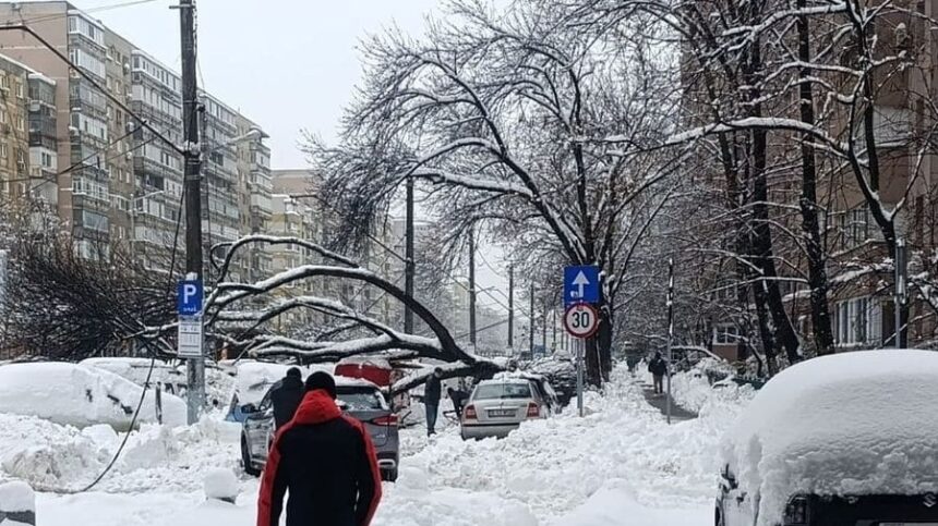 fata de 16 ani electrocutata pe trotuar in bucuresti dupa ce un copac a cazut peste cabluri a fost gasita inconstienta 699649da8af9b