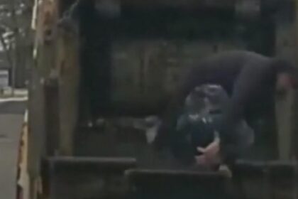 fugar prins dupa ce a sarit dintr un tomberon a fost descoperit de un angajat de la salubritate 699ff88009381